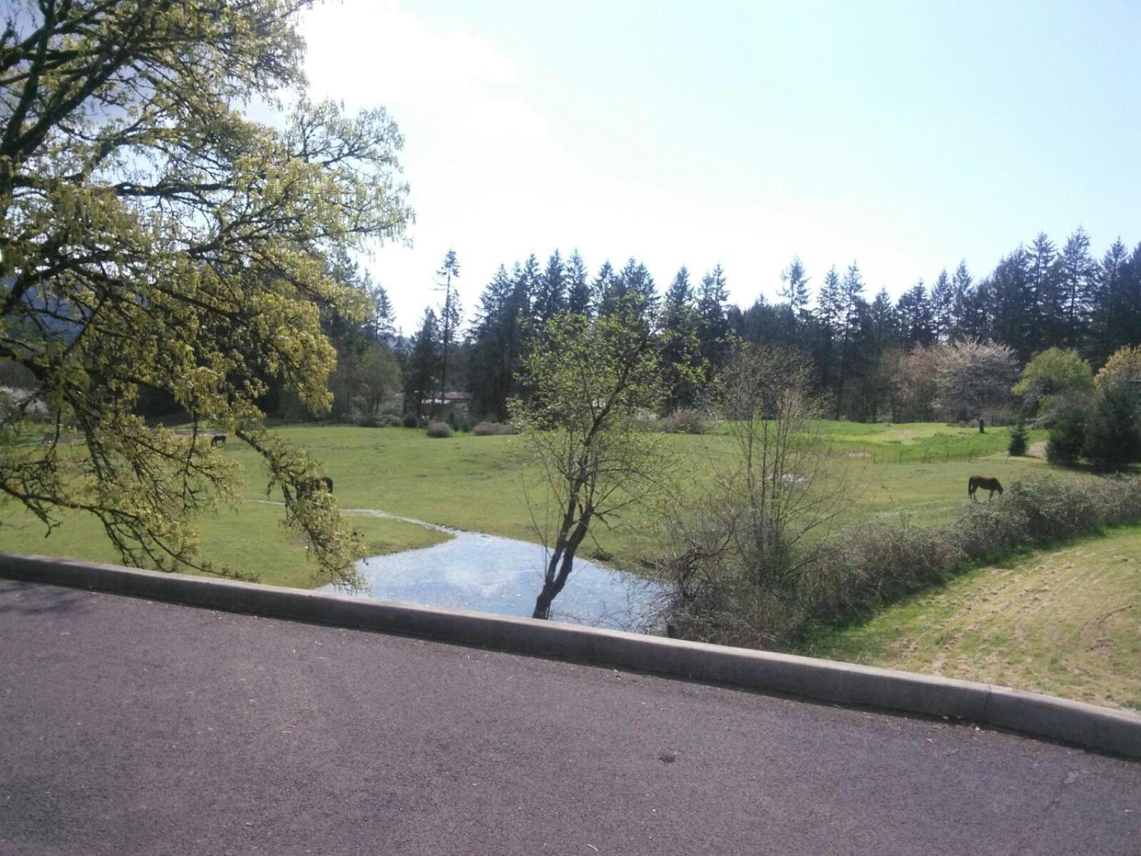Vancouver Wa Beautiful Apartment Вудленд Экстерьер фото
